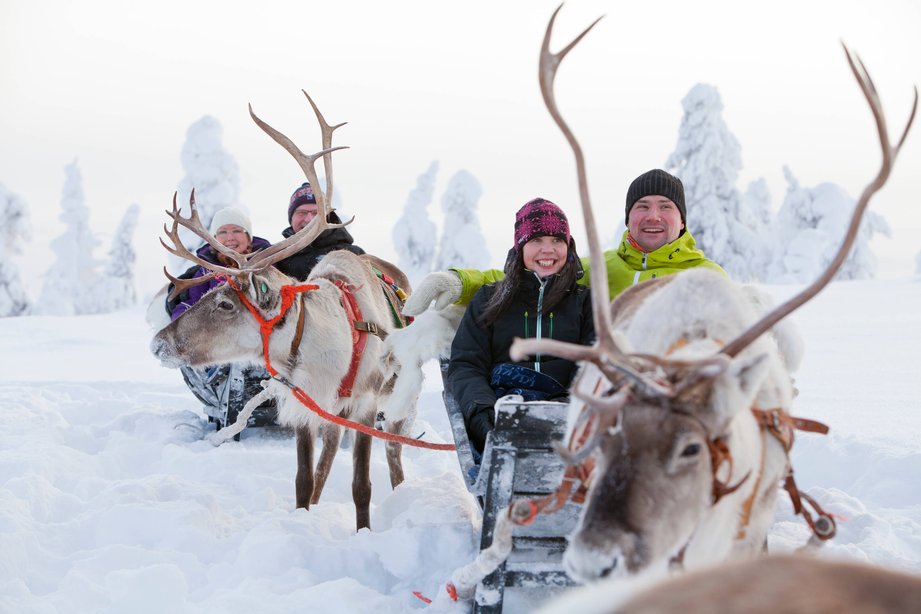 ラップランド | Visit Finland